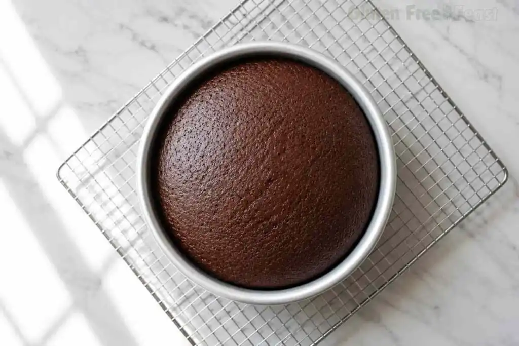 Freshly baked gluten free chocolate cake layers cooling on a rack