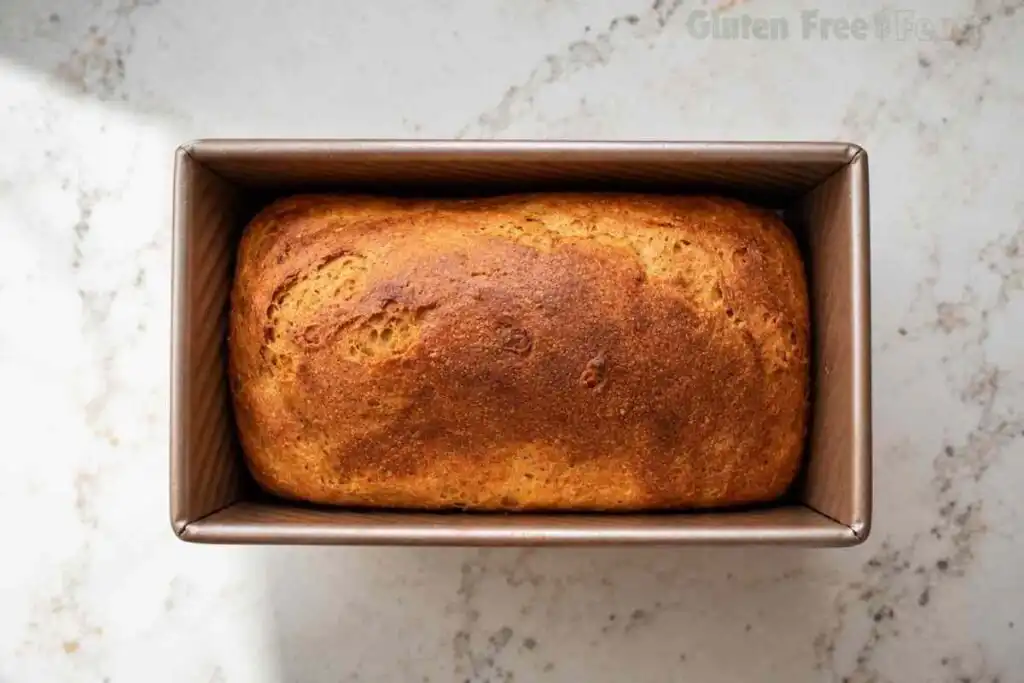 Golden brown gluten free sandwich bread freshly baked in a loaf pan.